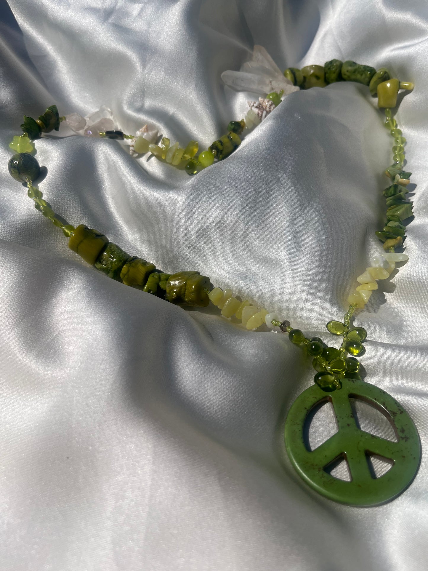 Algae